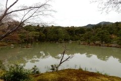 DSCN0804