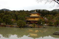 DSCN0805
